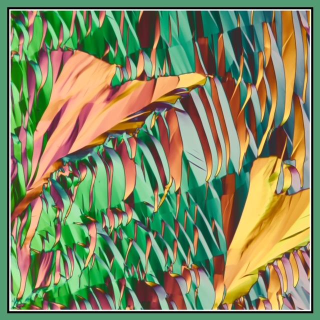 Leaf Green Square Silk Scarf