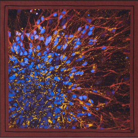 Neuron Flower silk scarf